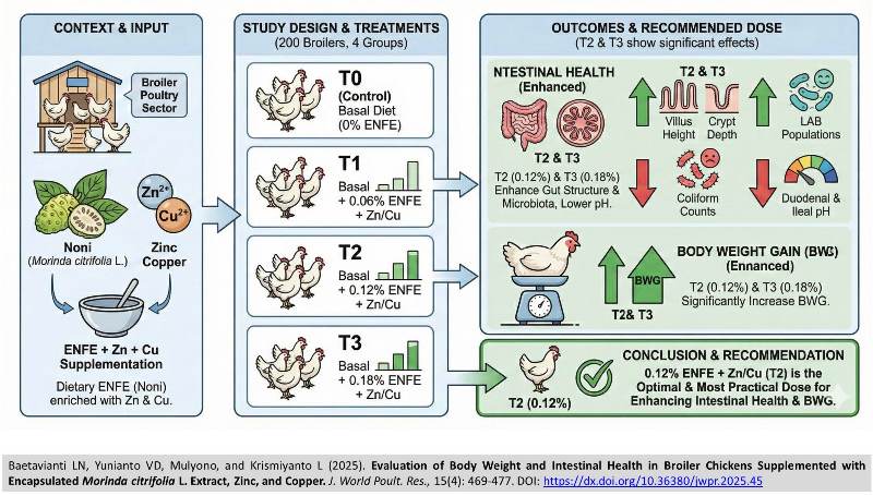 495-Encapsulated_Morinda_citrifolia_Zinc_and_Copper