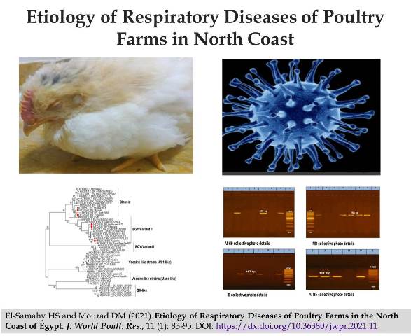 16_Respiratory_Diseases