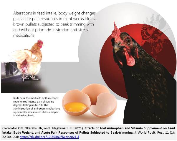 18_Acetaminophen_and_Vitamin_Supplement