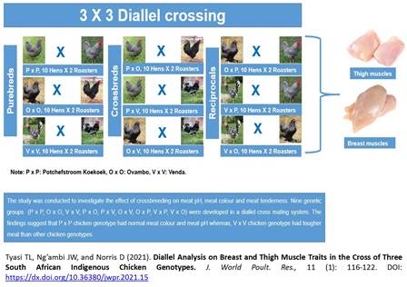 21-Diallel_Analysis_on_Breast_and_Thigh_Muscle