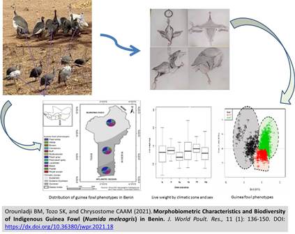 25-Biodiversity_of_Indigenous_Guinea_Fowl