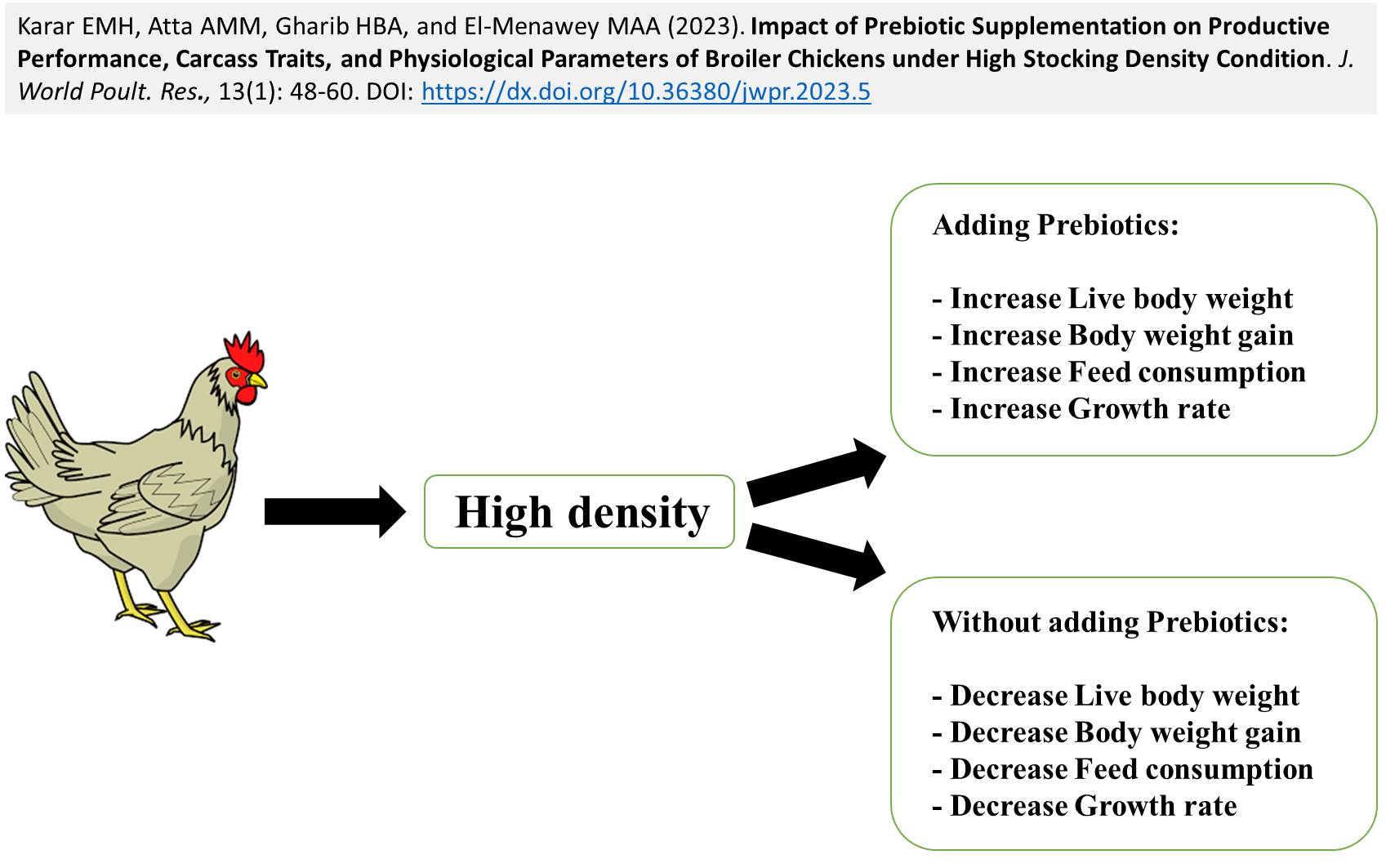205-Prebiotic_on_Performance_Carcass_and_Physiological_traits_of_Broiler_Chickens