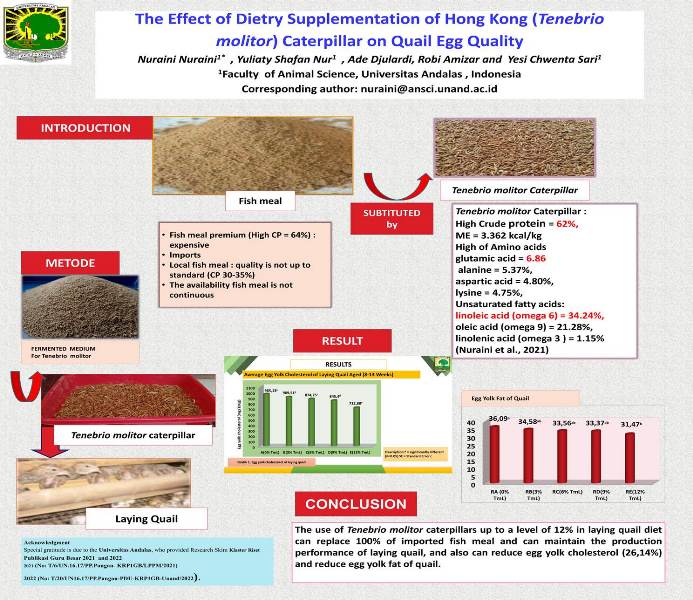 222-Tenebrio_molitor