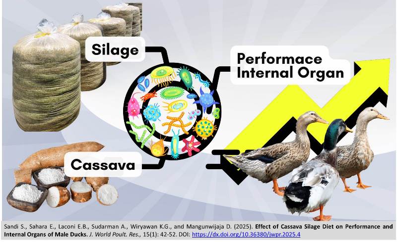 333-Cassava_Silage_Diet