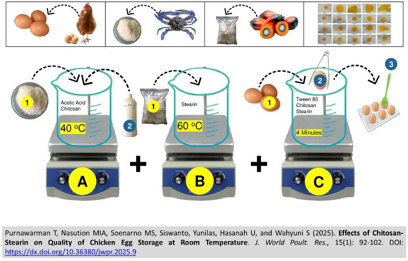 406-Effects_of_Chitosan-Stearin_Egg_Storage