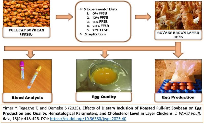 438-roasted_full-fat_soybean