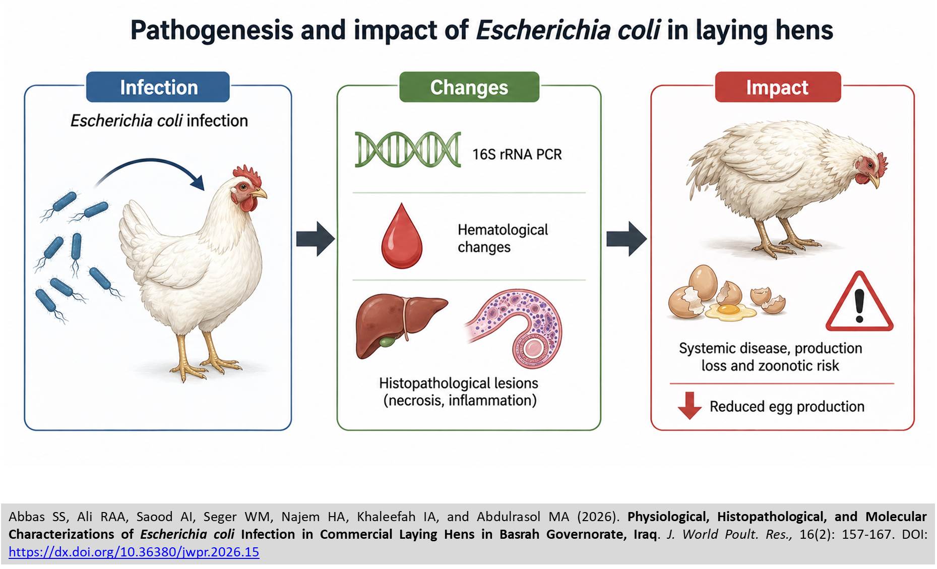 1600-44-Escherichia_coli_in_Commercial_Laying_Hens_in_Iraq