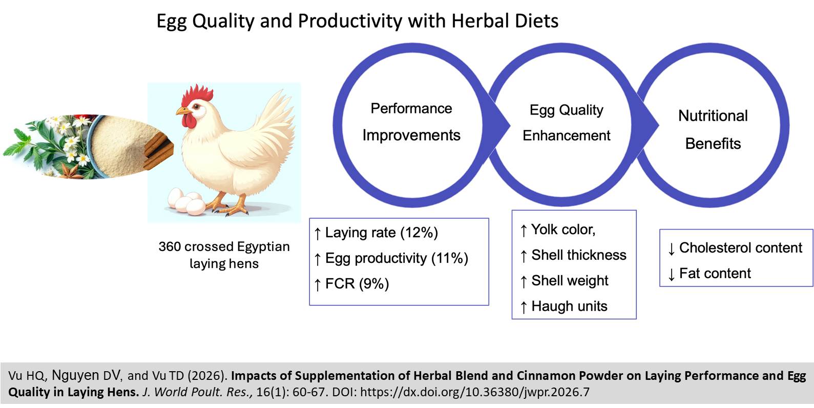 488-Herbal_Blend_Cinnamon_Powder_Laying_Hens