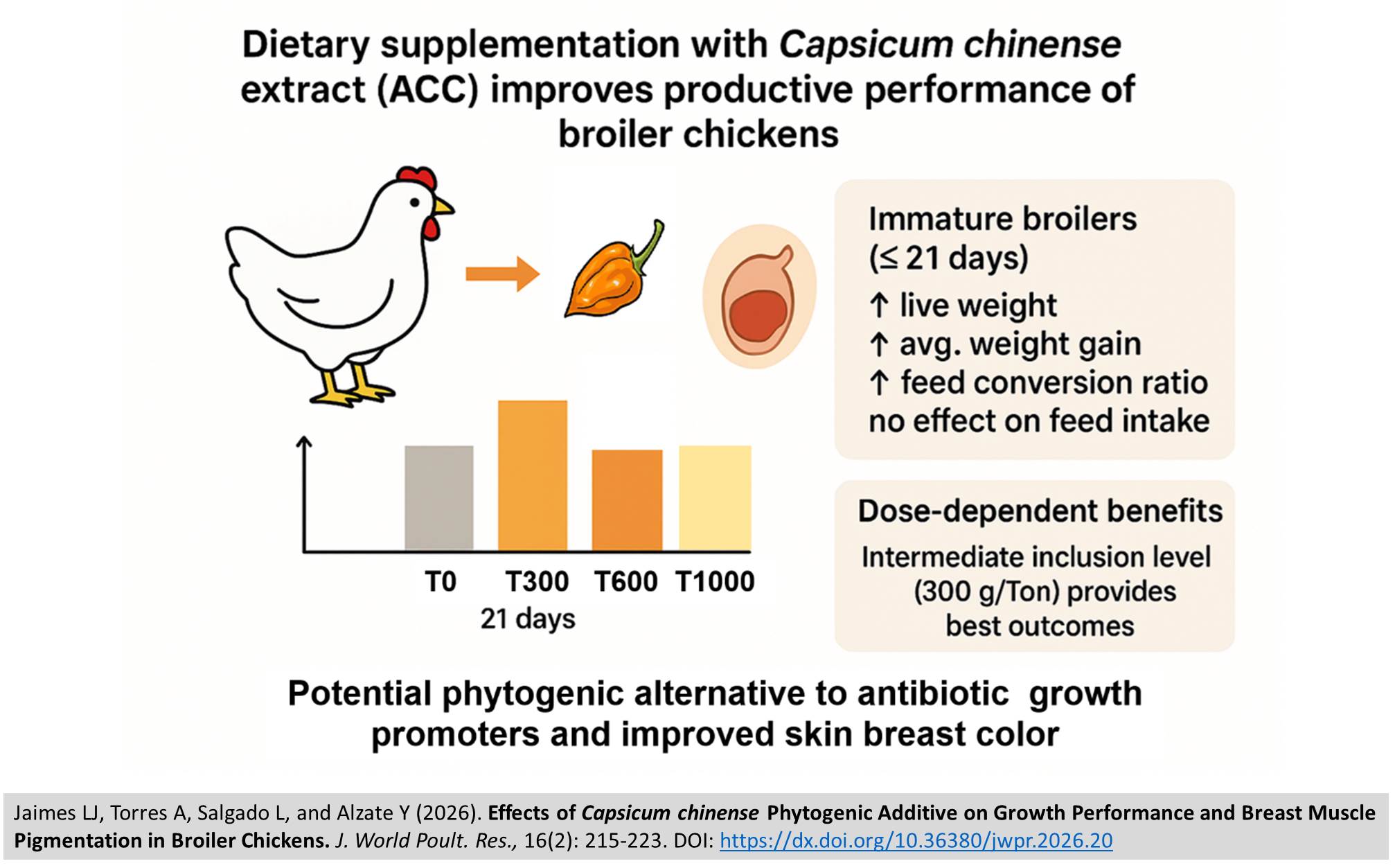 493-Capsicum_chinense_Phytogenic_Additive_on_broiler_Growth