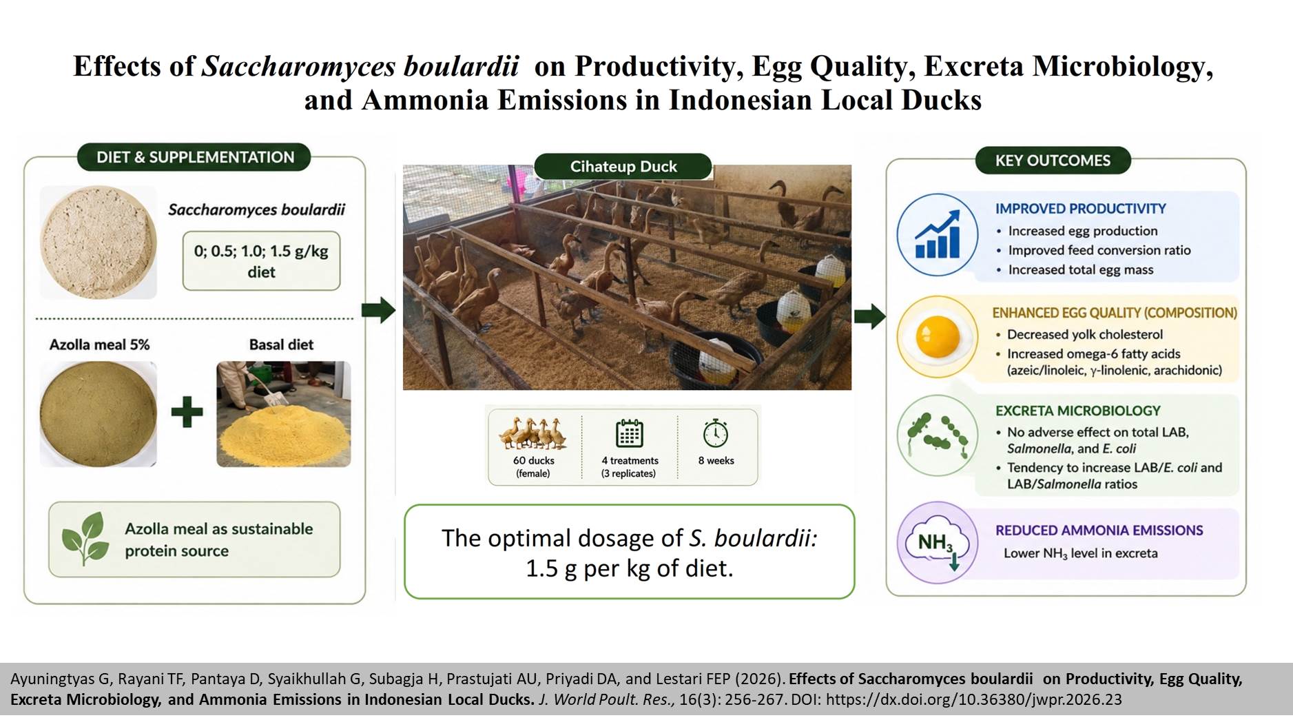 562-_Saccharomyces_boulardii_on_Indonesian_Local_Ducks