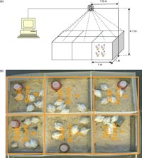 JWPR-C20--Smart-Sensing-Technologies-low